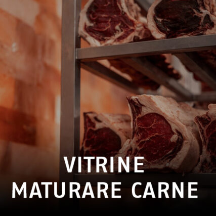 Vitrine Maturare Carne